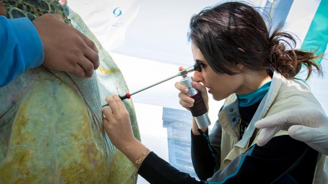 6d81800a19d8bc3e6eda46efca64b717a9d34539