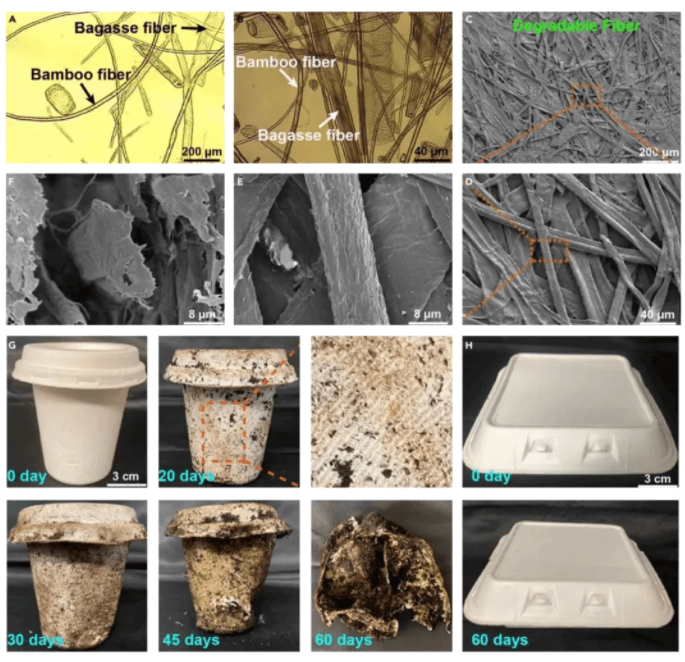 微信截图_20220218161925