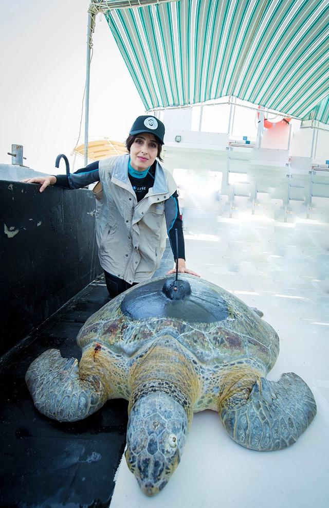 8435e5dde71190ef2827736989f48c1ffffa60a4