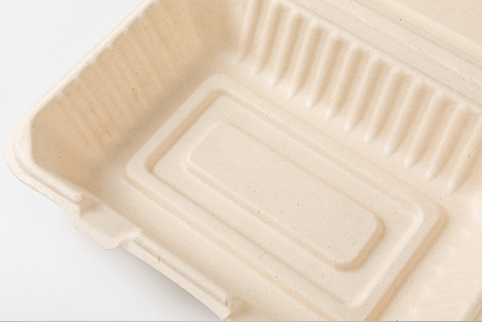 Compostable lunch box