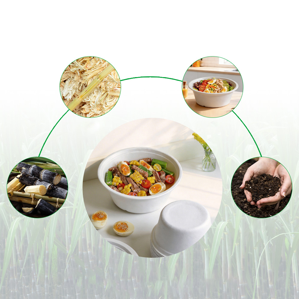 微信图片_20260312170749_2826_20